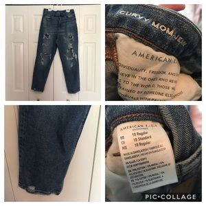 AE American Eagle Curvy Mom Jean Distressed